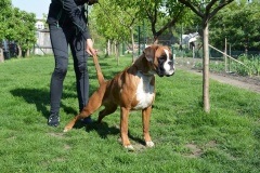 15-mesiacov-postojovka